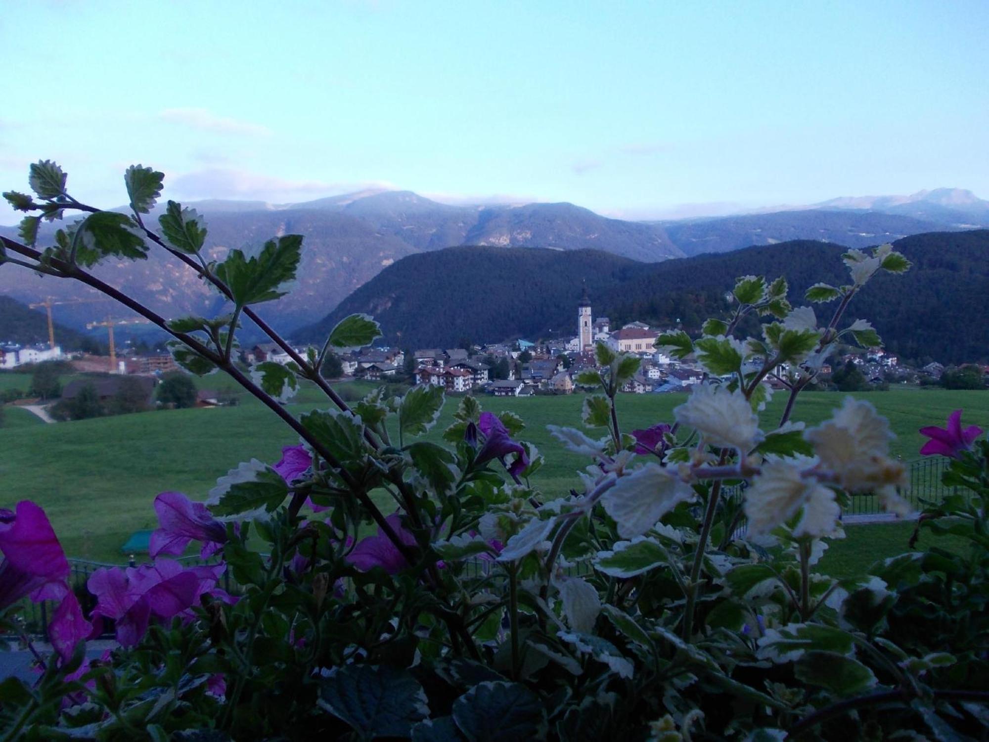 Hotel Rosslaufhof カステルロット エクステリア 写真